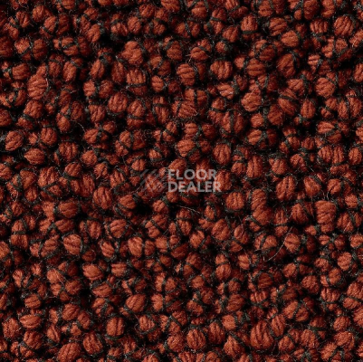 Ковролин Best Wool Nature Vivaldi I-AB Flavoured Cayenne фото 1 | FLOORDEALER